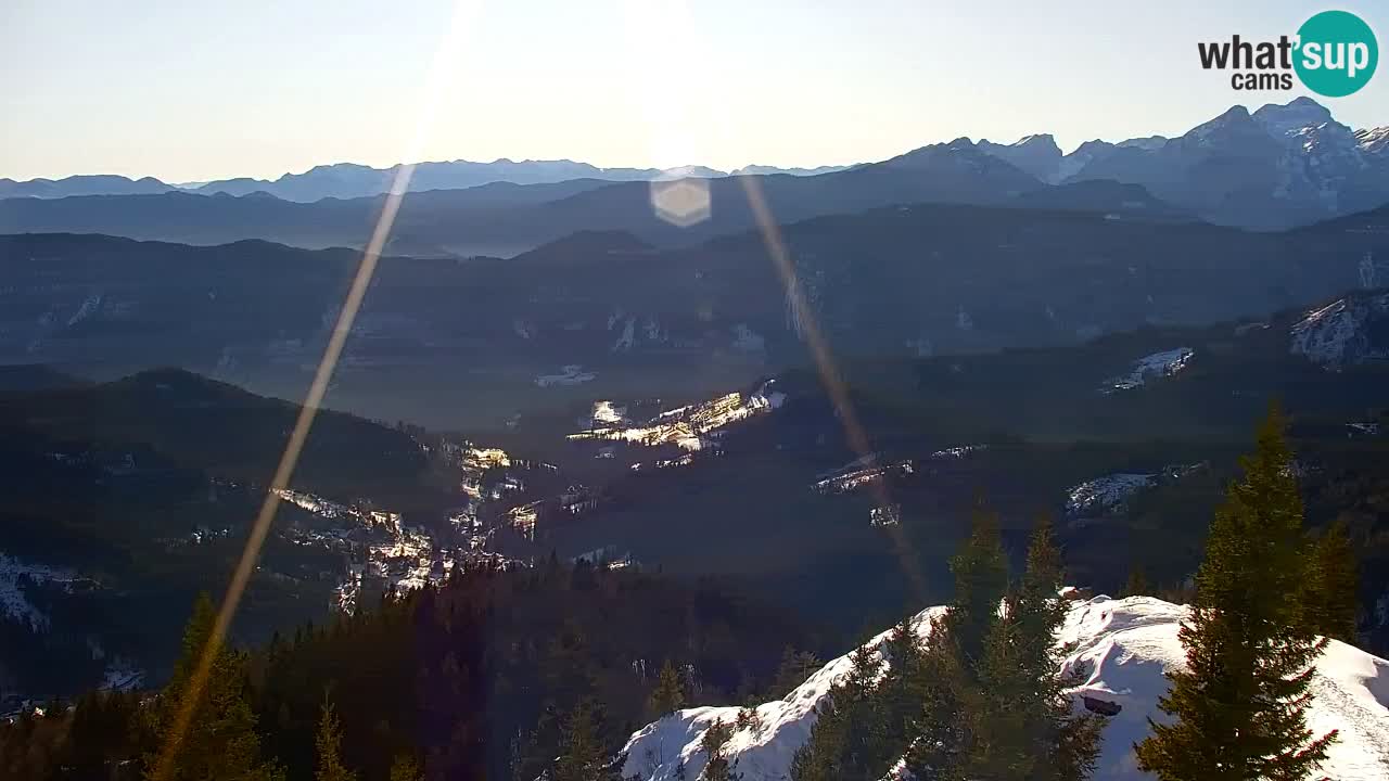 Webcam Koča na Golici (1582 m) – Slovenia