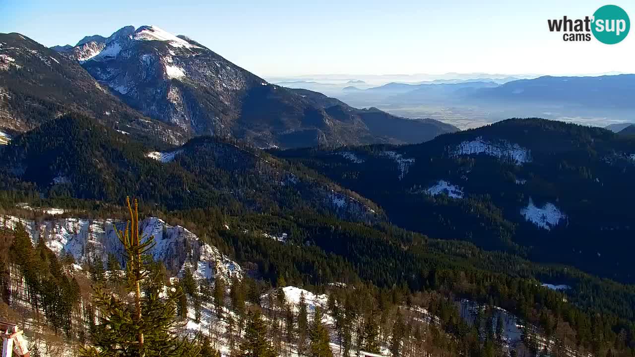 Web kamera Koča na Golici (1582 m) – Slovenija