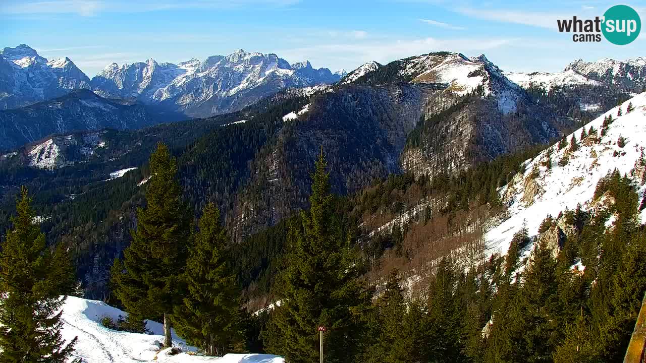 Webcam Koča na Golici (1582 m) – Slovenia