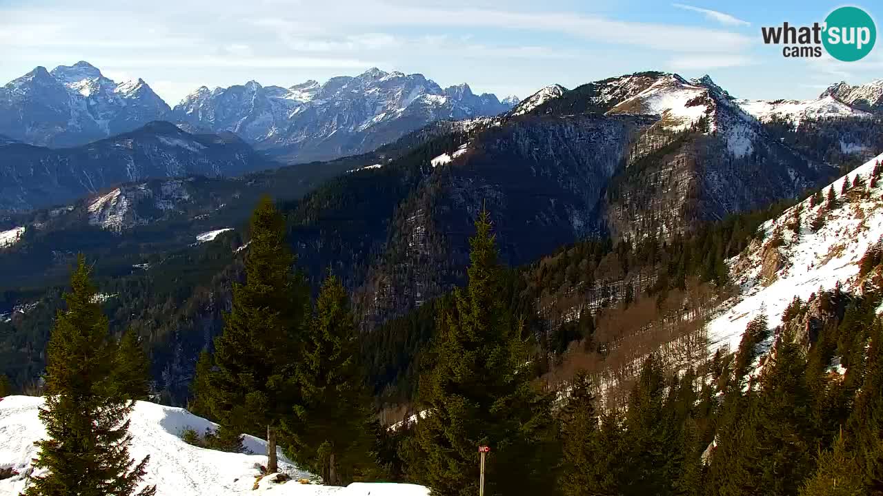 Webcam Koča na Golici (1582 m) – Slovenia