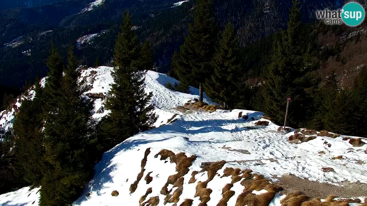 Spletna kamera Koča na Golici (1582 m) – Jesenice