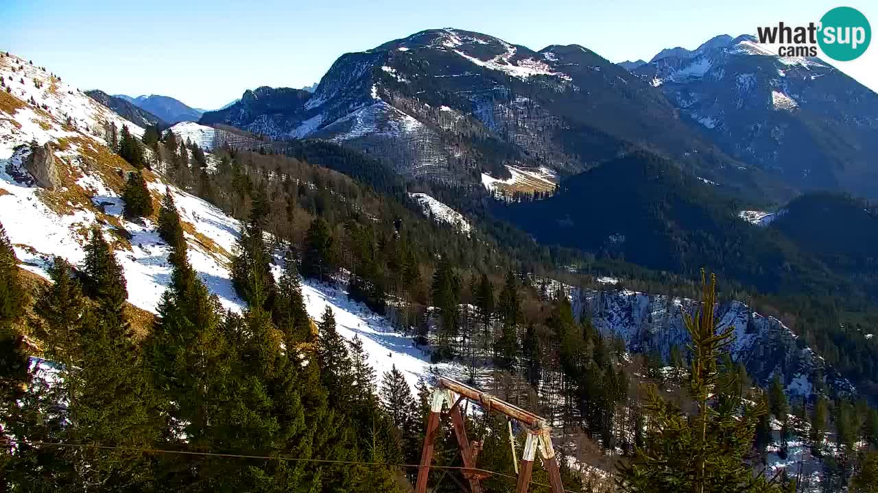 Webcam Koča na Golici (1582 m) – Slovenia