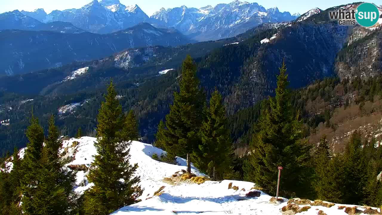 Webcam Koča na Golici (1582 m) – Slovenia