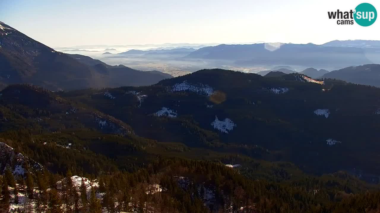 Koča na Golici Webcam (1582 m) – Slowenien