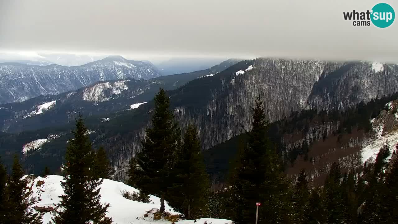 Webcam Koča na Golici (1582 m) – Slovenia