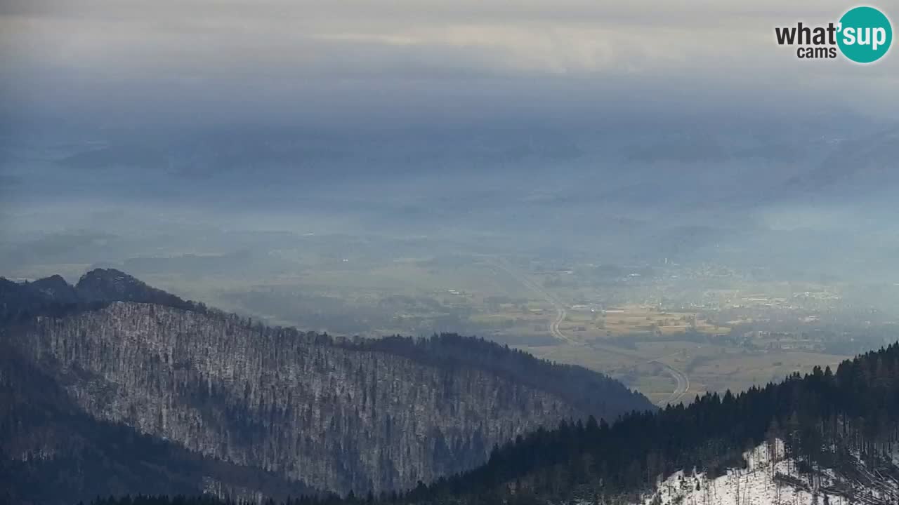 Webcam Koča na Golici (1582 m) – Slovenia