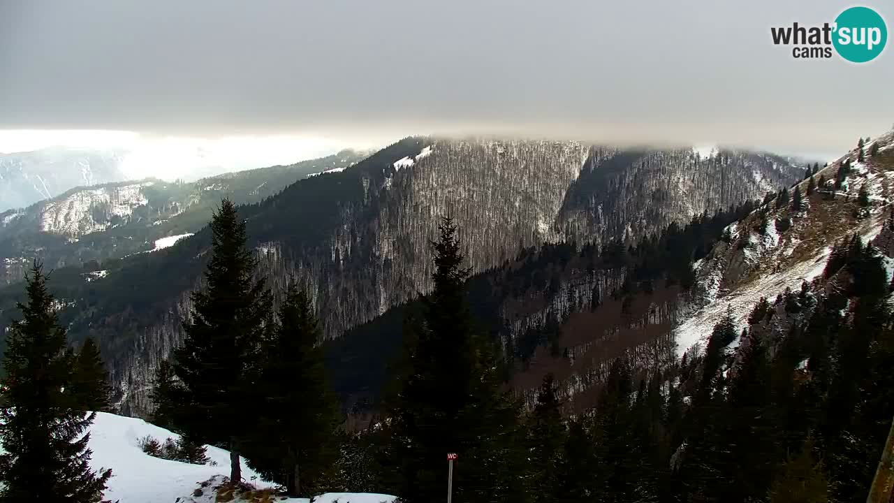 Koča na Golici Webcam (1582 m) – Slowenien