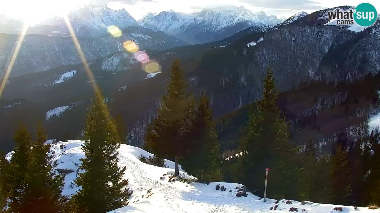 Webcam Koča na Golici (1582 m) – Slovenia