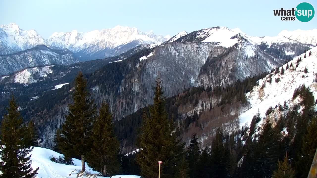 Webcam Koča na Golici (1582 m) – Slovenia