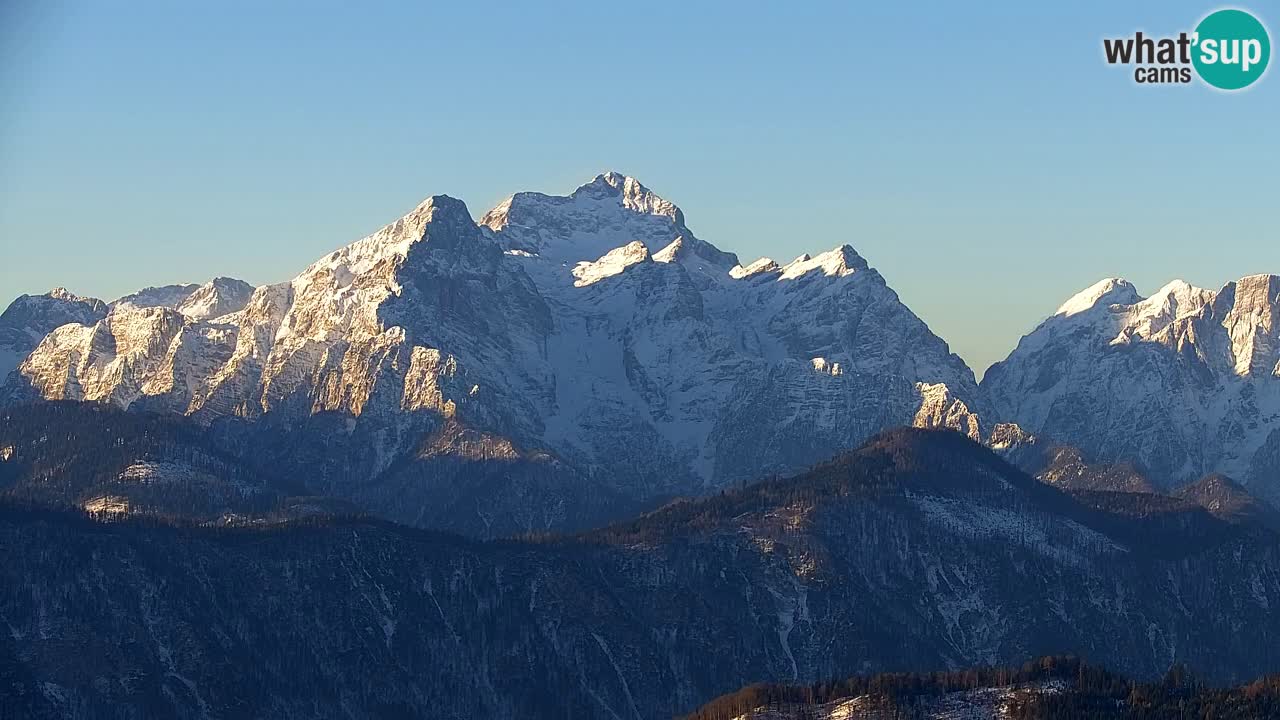 Webcam Koča na Golici (1582 m) – Slovenia