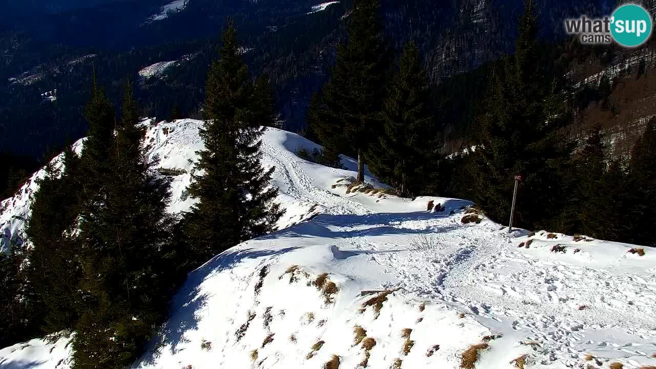 Webcam en Golica (1582 m) – Eslovenia