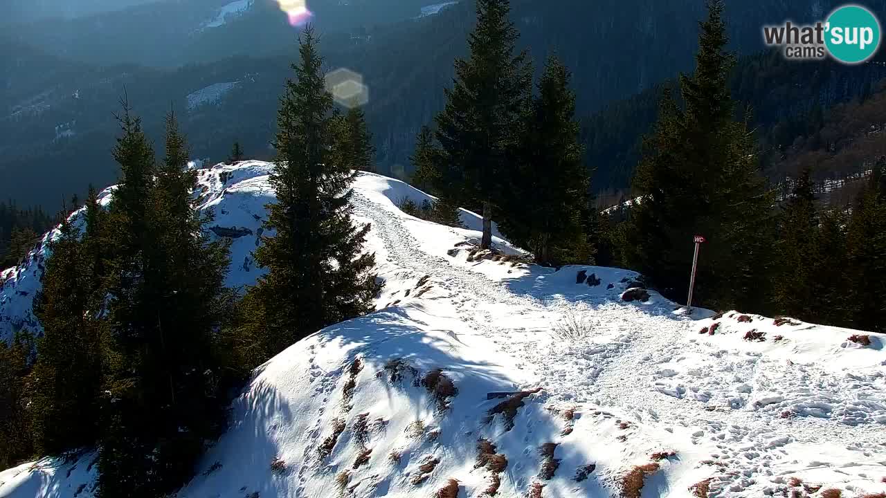 Webcam Koča na Golici (1582 m) – Slovenia