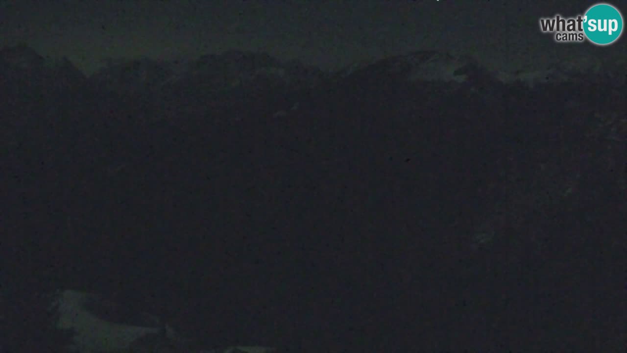 Webcam Koča na Golici (1582 m) – Slovenia