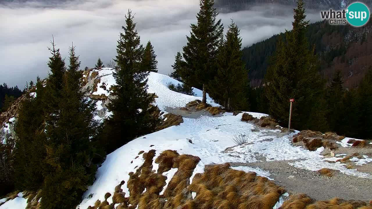 Web kamera Koča na Golici (1582 m) – Slovenija