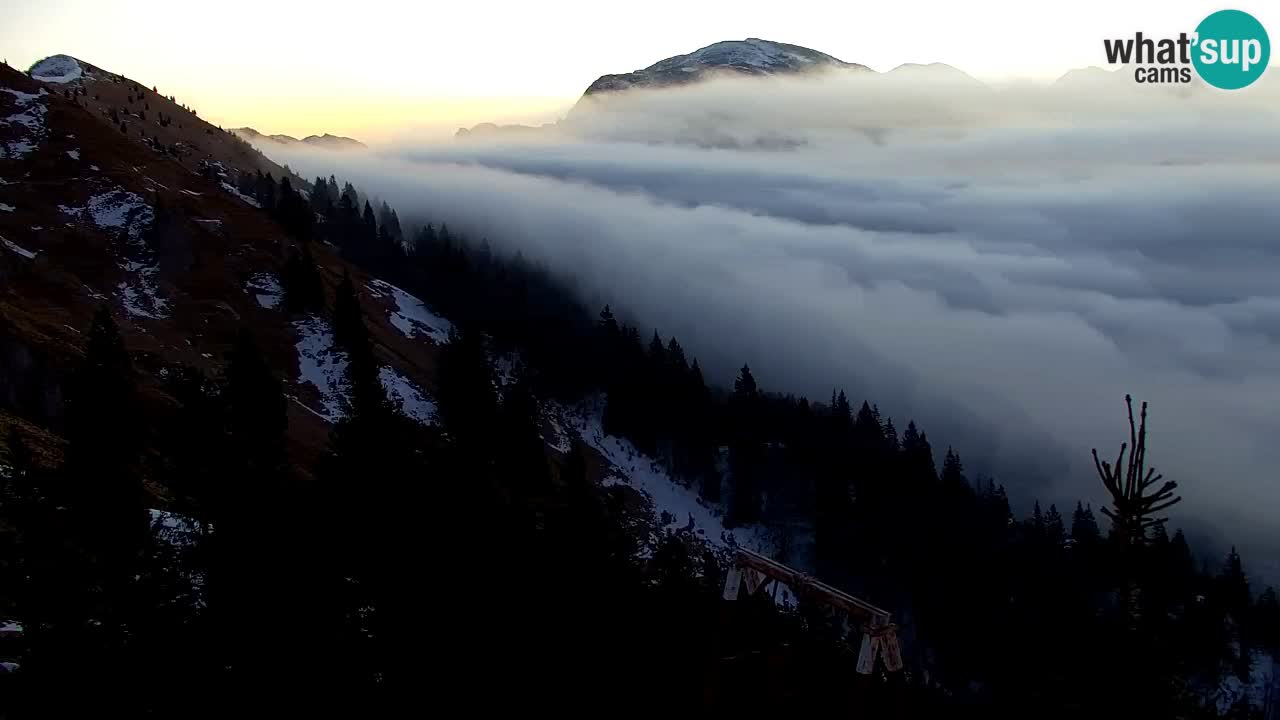 Webcam Koča na Golici (1582 m) – Slovenia