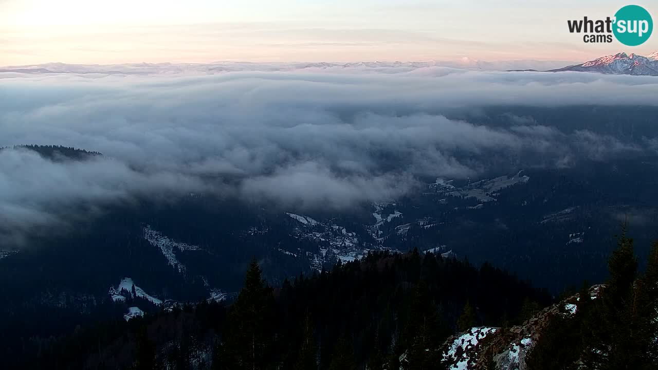 Webcam Koča na Golici (1582 m) – Slovenia