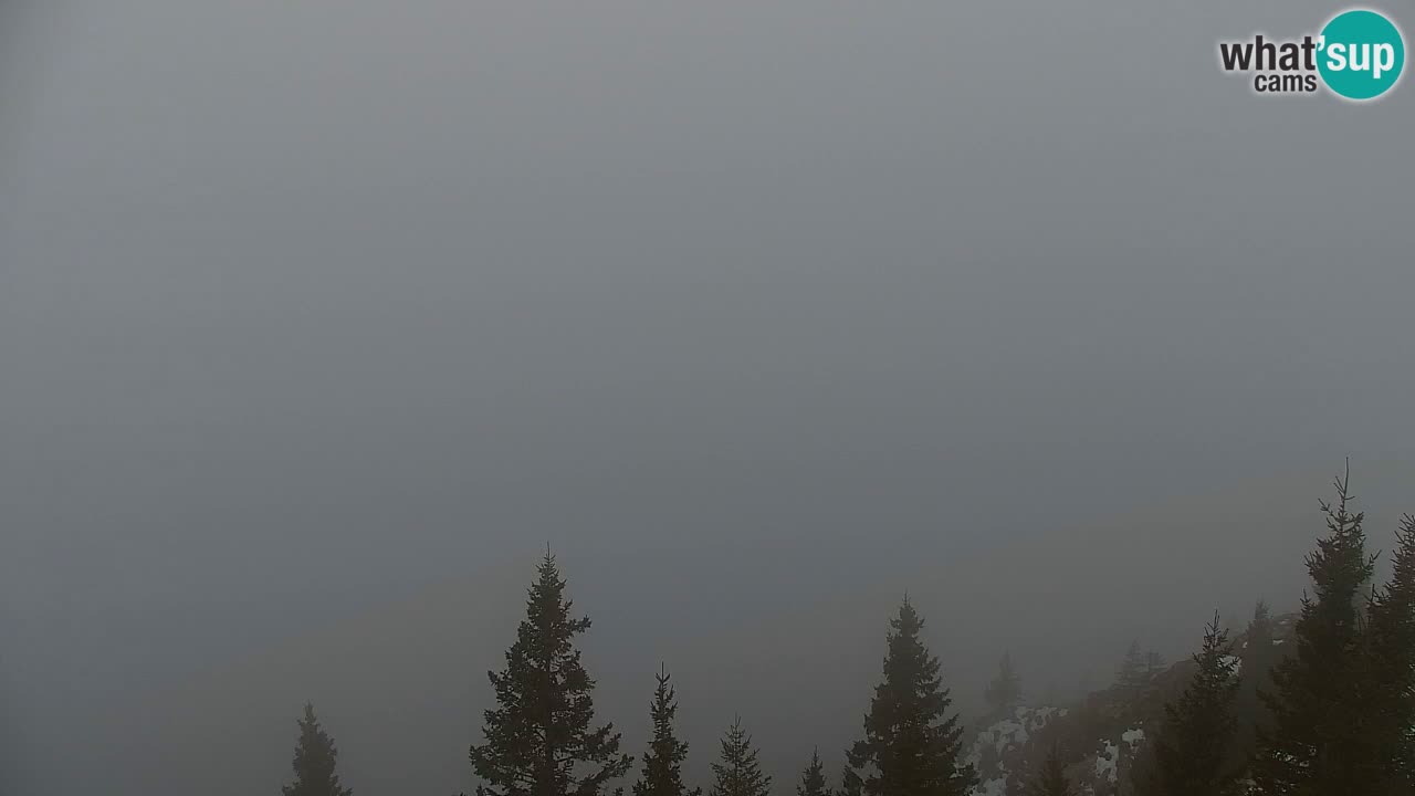 Spletna kamera Koča na Golici (1582 m) – Jesenice