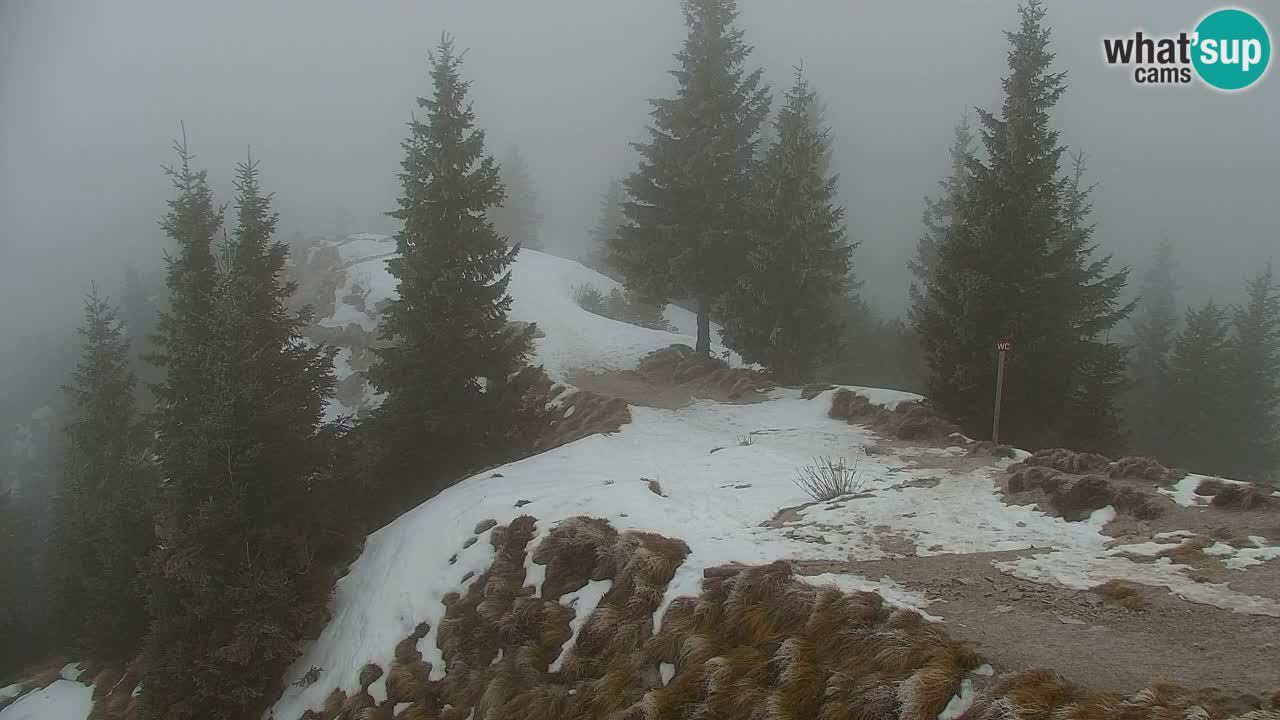 Webcam Koča na Golici (1582 m) – Slovenia