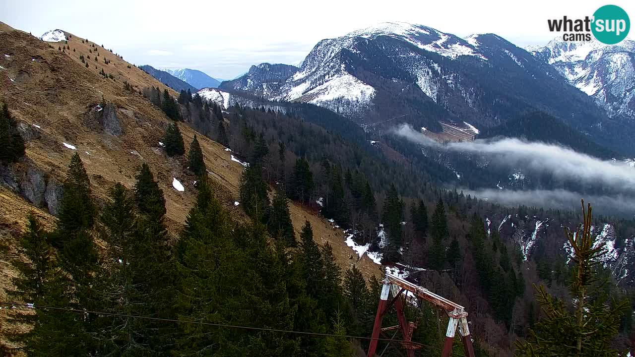 Koča na Golici Webcam (1582 m) – Slowenien