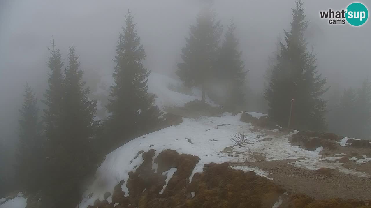 Spletna kamera Koča na Golici (1582 m) – Jesenice