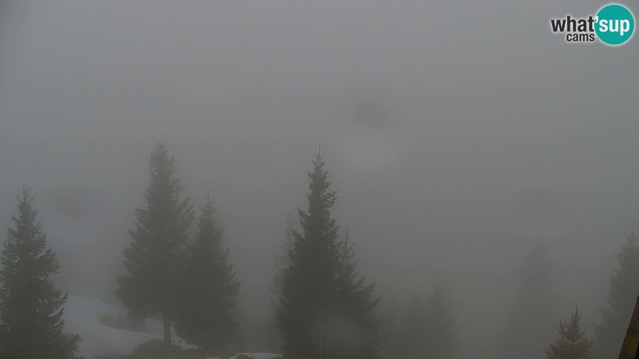 Webcam na Golici – Baita di montagna (1582 m) – Slovenia