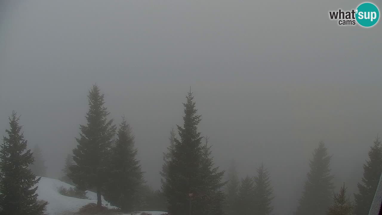 Webcam na Golici – Baita di montagna (1582 m) – Slovenia