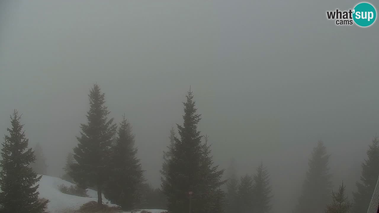 Webcam Koča na Golici (1582 m) – Slovenia