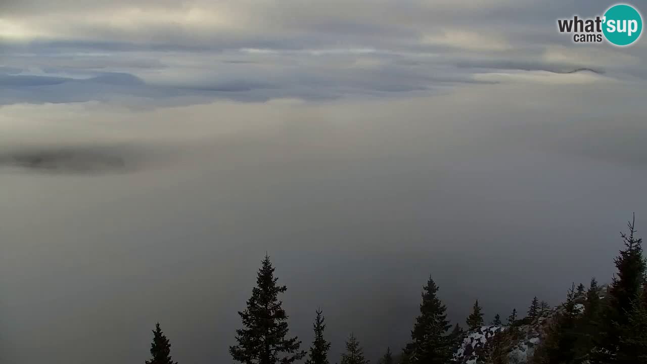 Webcam Koča na Golici (1582 m) – Slovenia