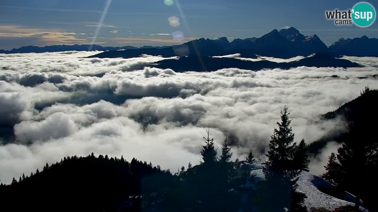 Koča na Golici Webcam (1582 m) – Slowenien