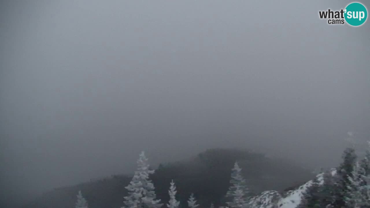 Spletna kamera Koča na Golici (1582 m) – Jesenice