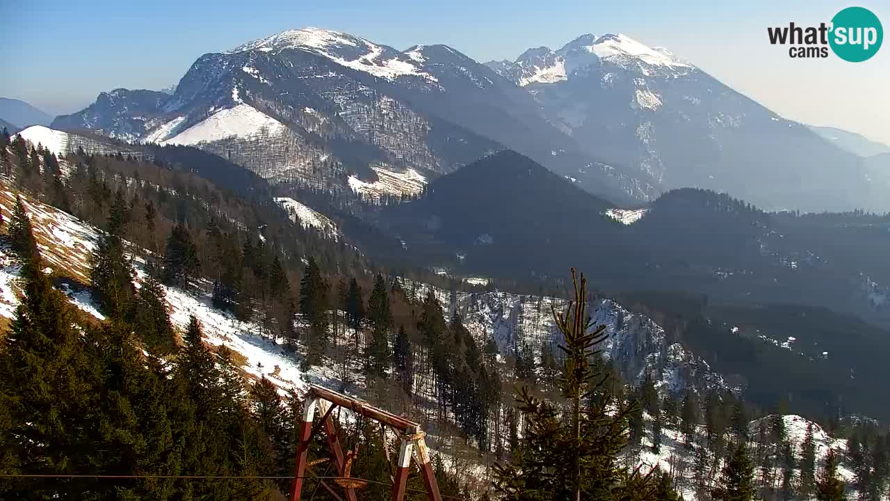 Koča na Golici Webcam (1582 m) – Slowenien