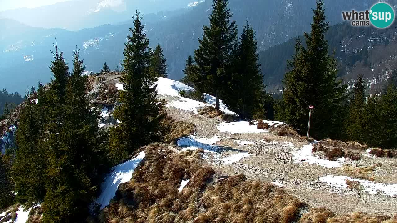 Spletna kamera Koča na Golici (1582 m) – Jesenice