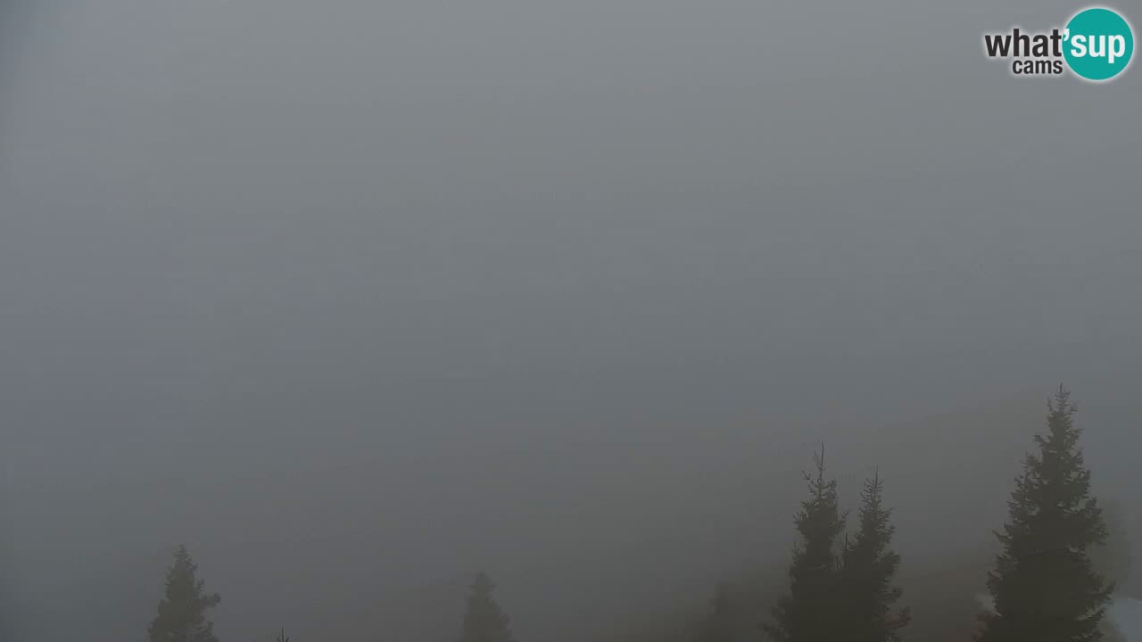 Spletna kamera Koča na Golici (1582 m) – Jesenice