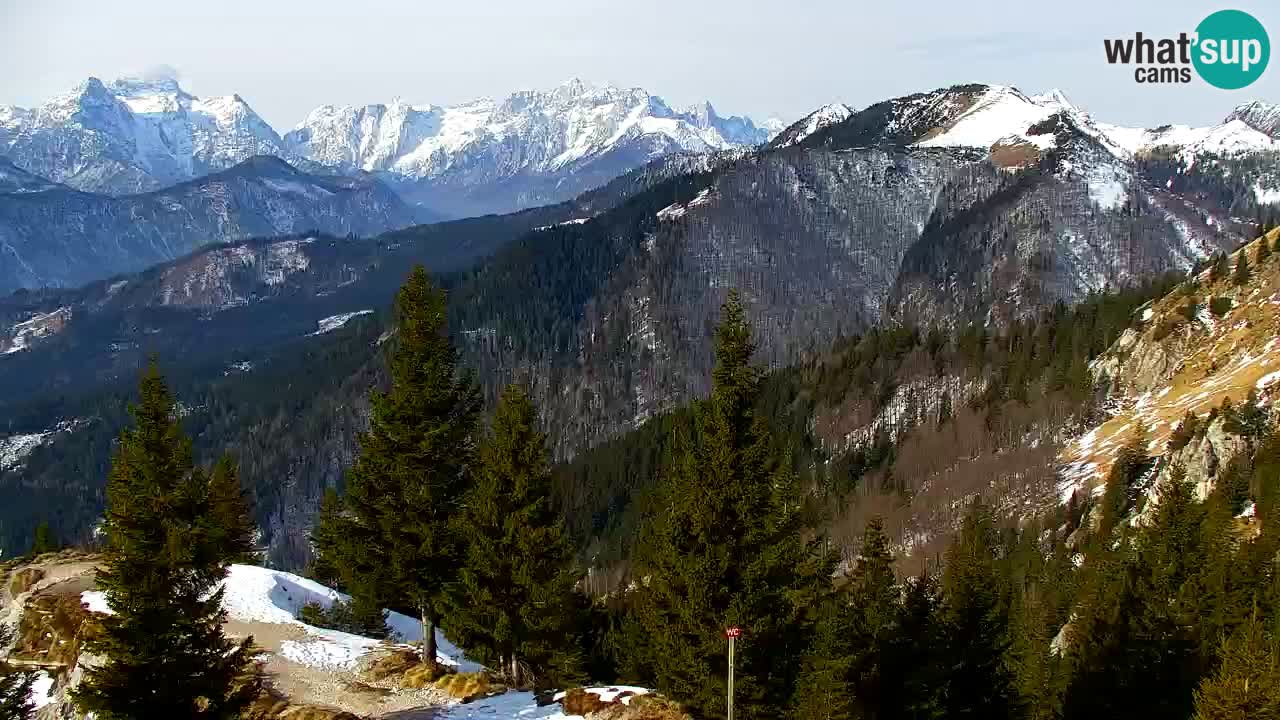 Webcam Koča na Golici (1582 m) – Slovenia