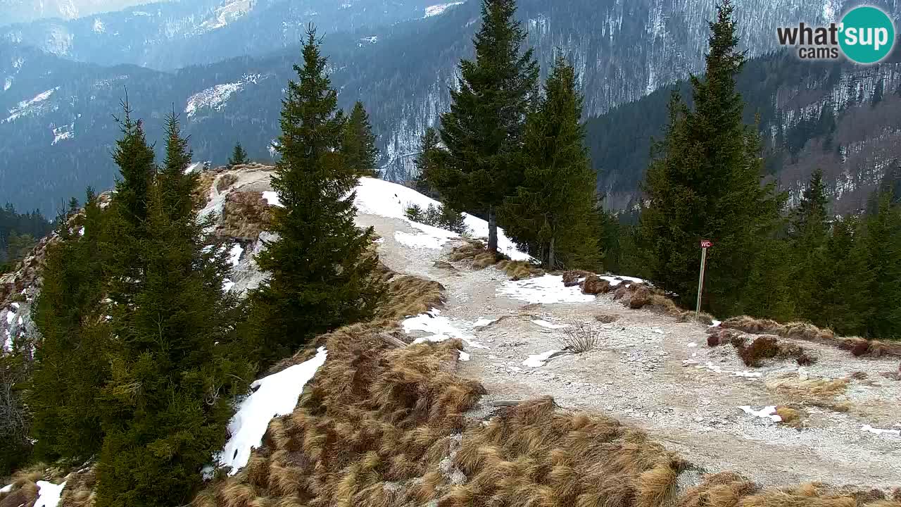 Koča na Golici Webcam (1582 m) – Slowenien