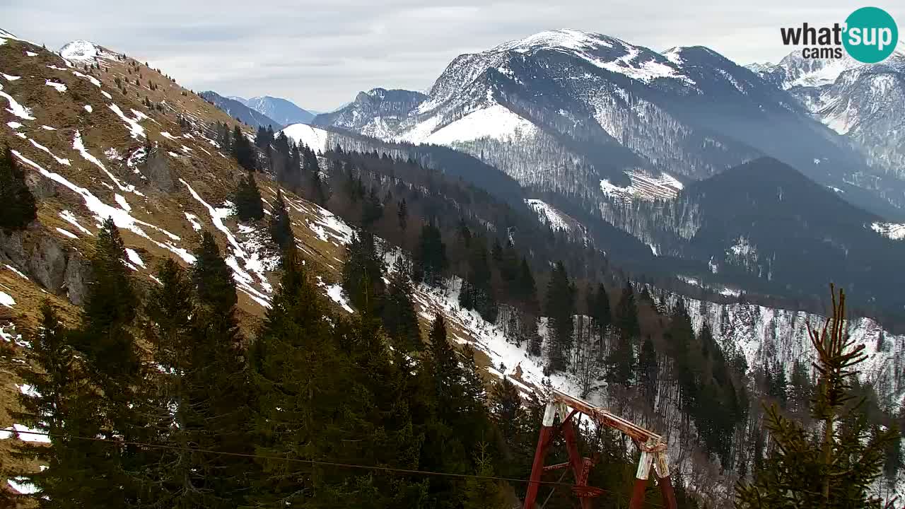 Web kamera Koča na Golici (1582 m) – Slovenija