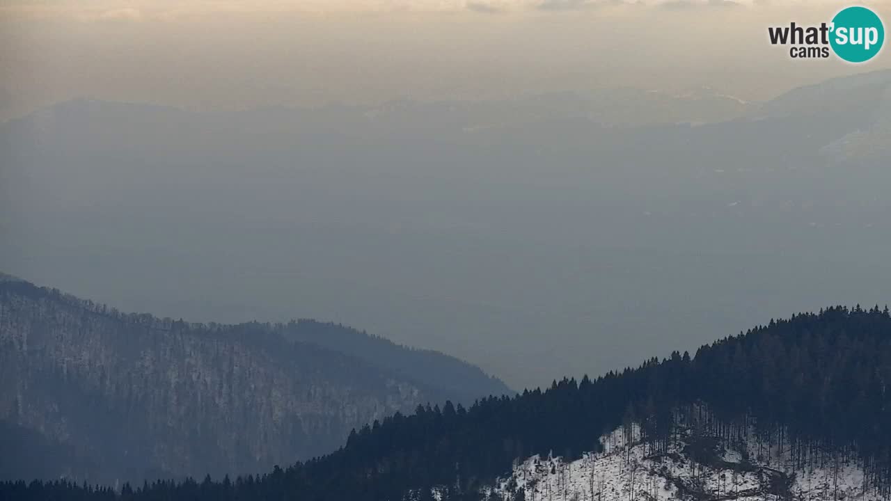 Webcam Koča na Golici (1582 m) – Slovenia