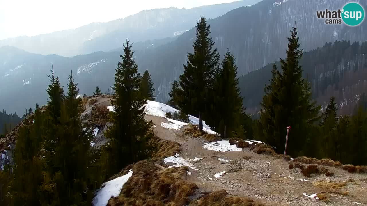 Webcam Koča na Golici (1582 m) – Slovenia