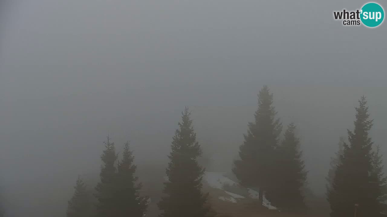 Koča na Golici Webcam (1582 m) – Slowenien