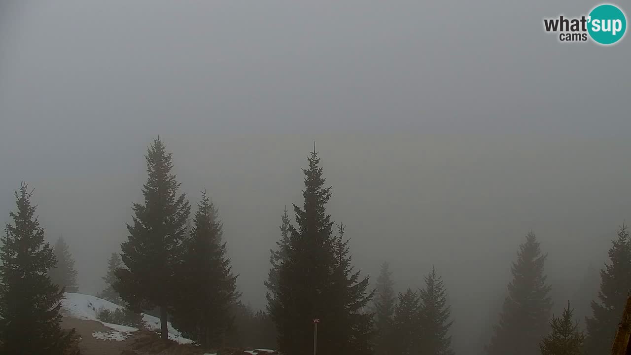 Spletna kamera Koča na Golici (1582 m) – Jesenice