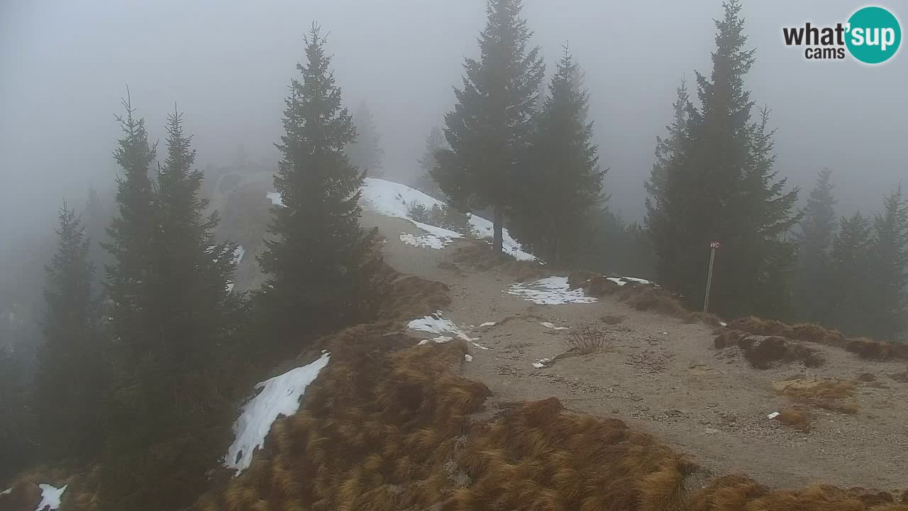 Webcam Koča na Golici (1582 m) – Slovenia