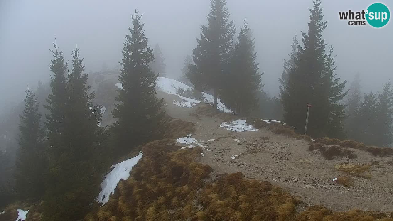 Koča na Golici Webcam (1582 m) – Slowenien