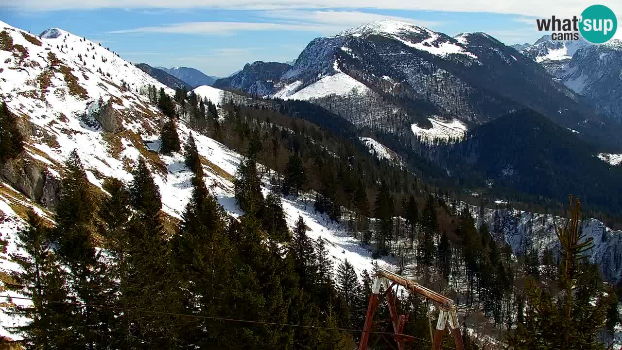 Webcam Koča na Golici (1582 m) – Slovenia