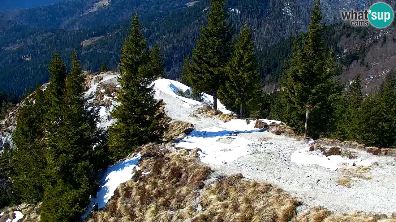 Webcam Chalet sur Golica (1582 m) – Slovénie