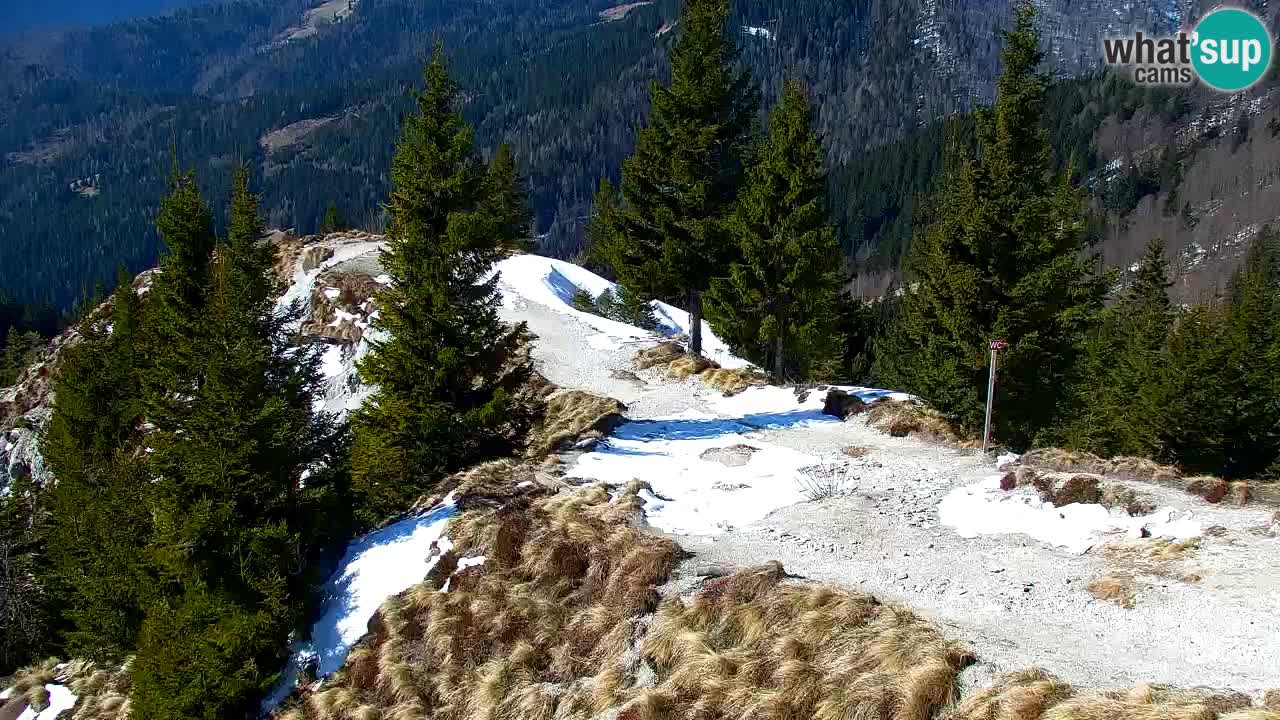 Webcam Chalet sur Golica (1582 m) – Slovénie