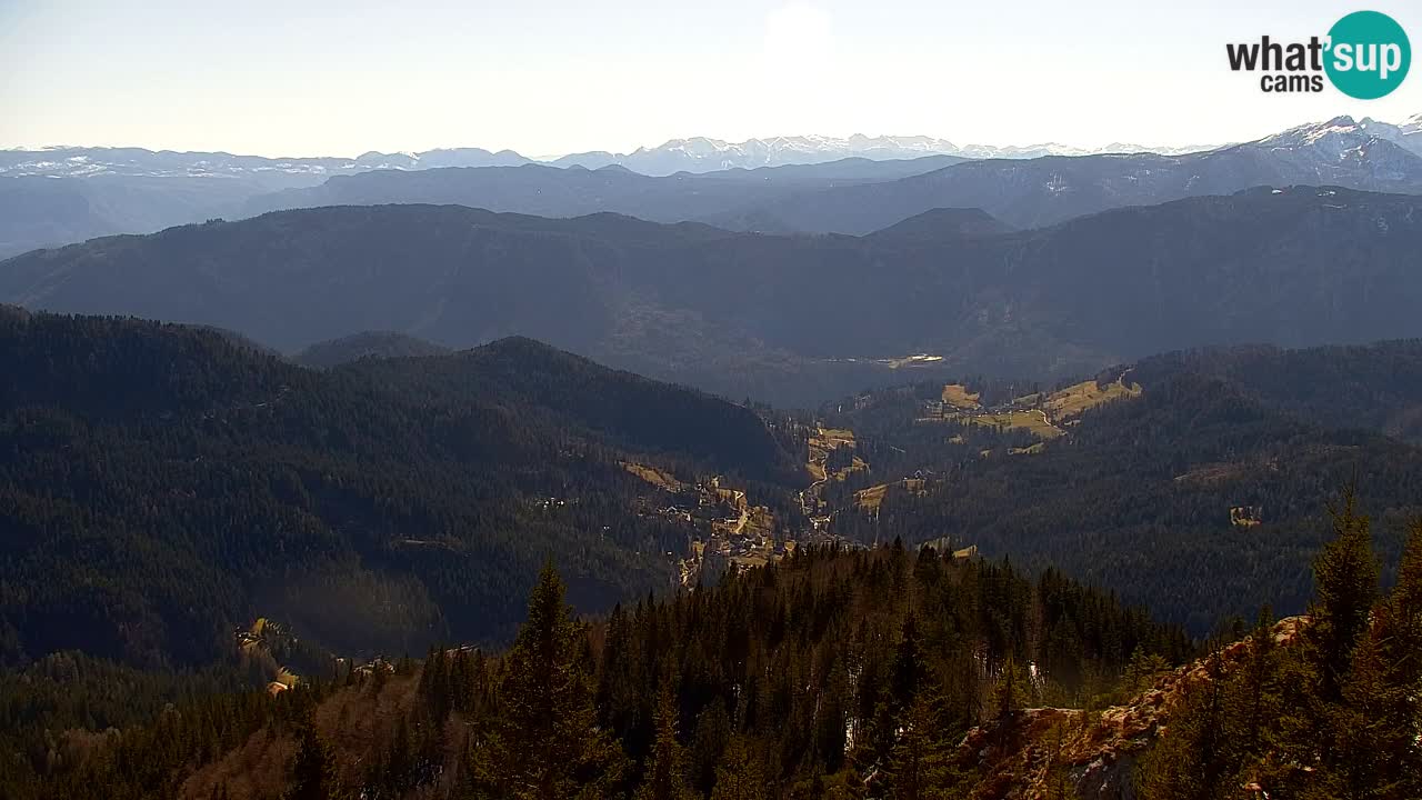 Webcam Koča na Golici (1582 m) – Slovenia