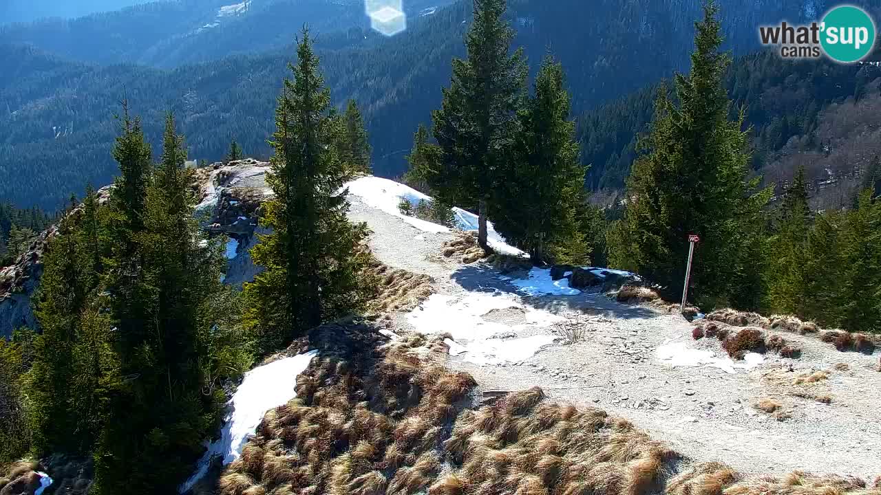 Spletna kamera Koča na Golici (1582 m) – Jesenice