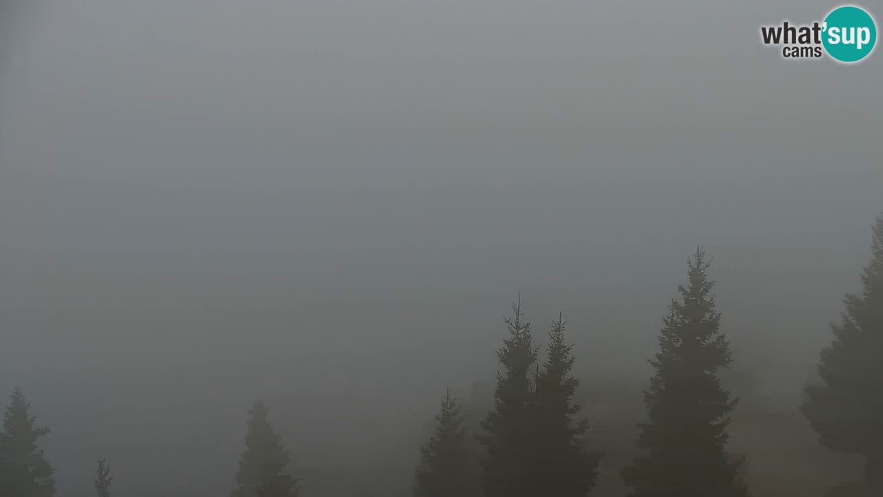 Webcam Koča na Golici (1582 m) – Slovenia