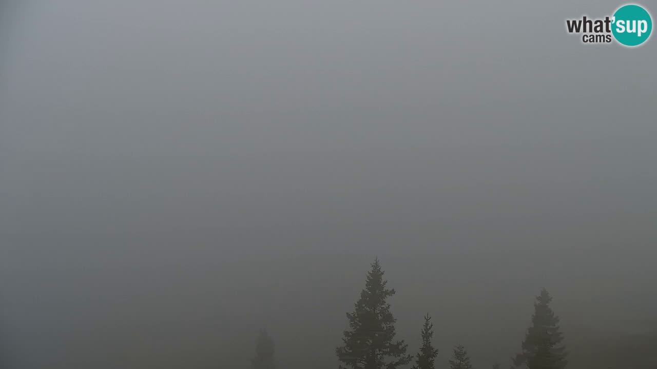 Koča na Golici Webcam (1582 m) – Slowenien