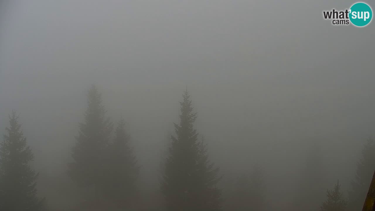 Webcam Koča na Golici (1582 m) – Slovenia